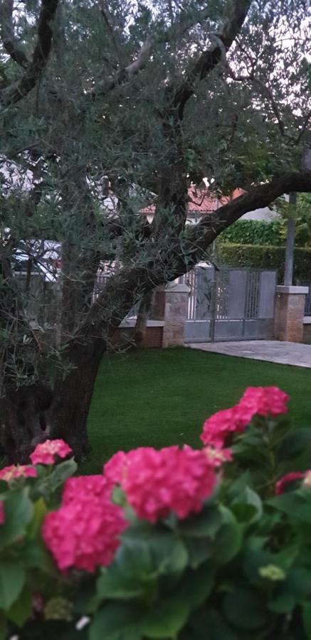 Apartments Cocaletto5 Ровинь Экстерьер фото